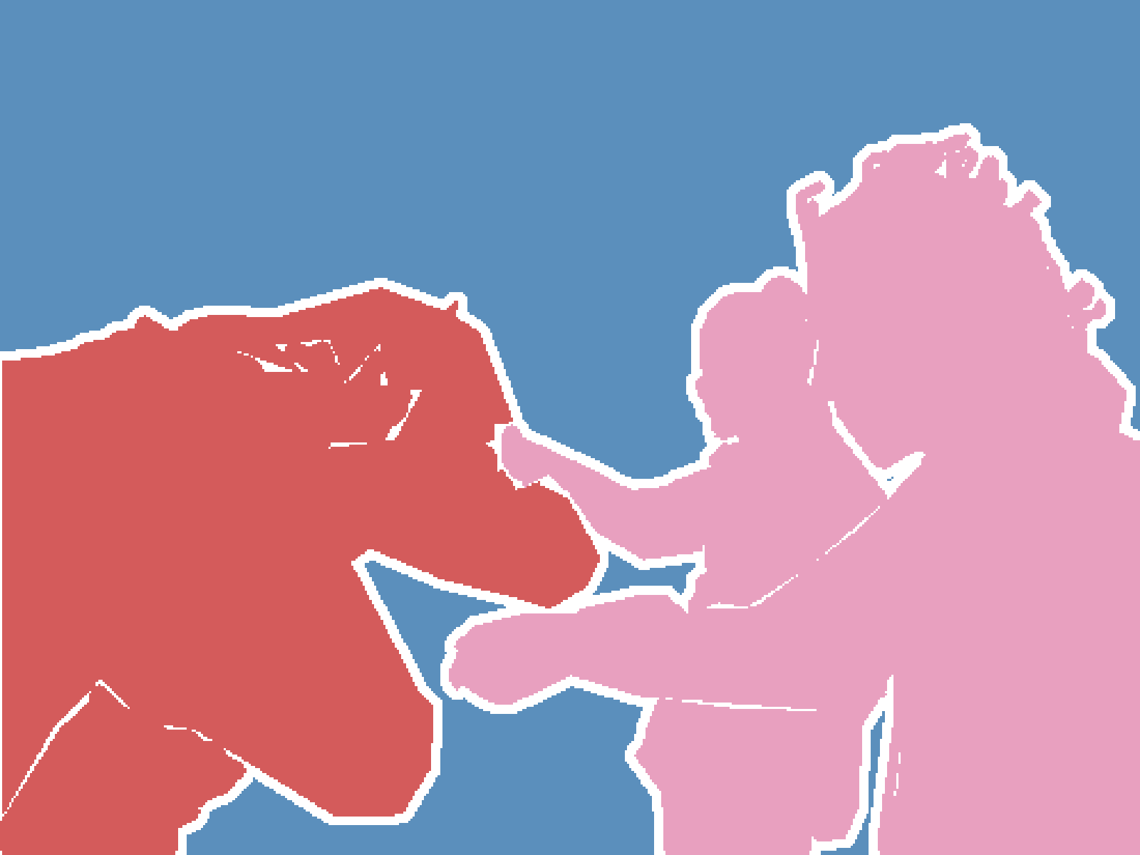 Ground truth segmentation mask