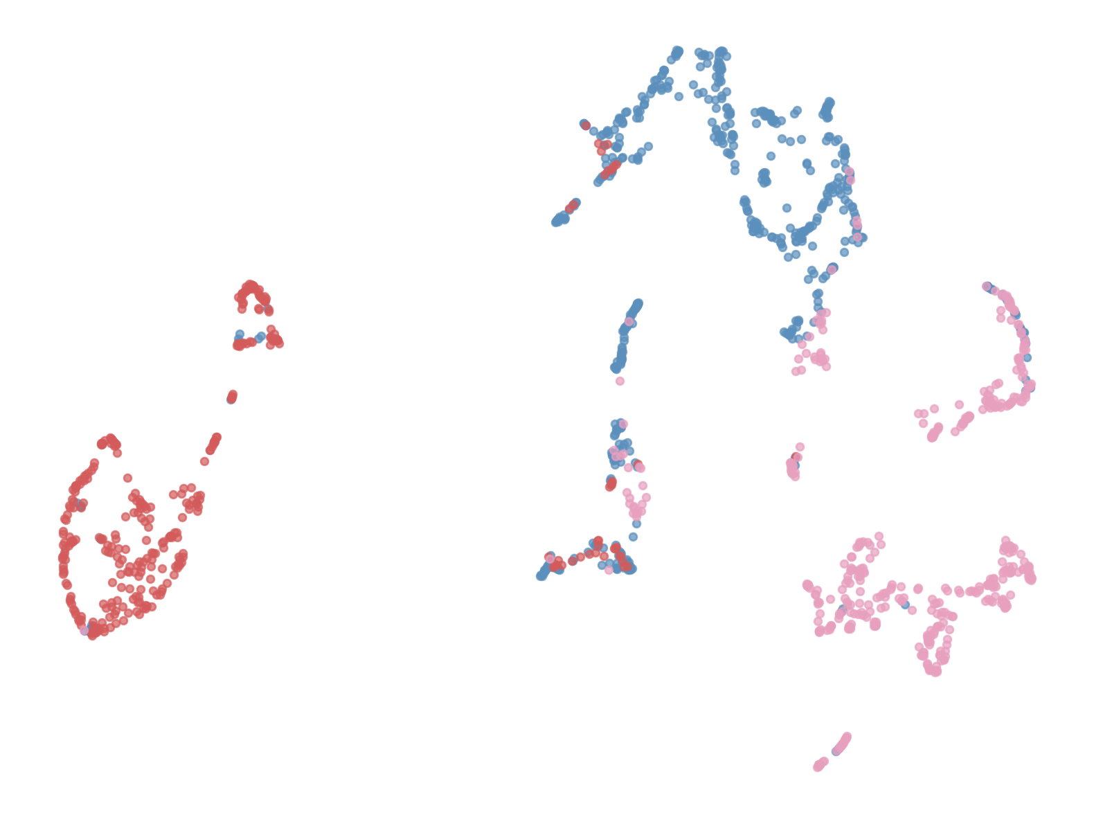 UMAP of patch embeddings